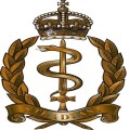 Colonel in Chief Royal Army Medical Service (RAMS)